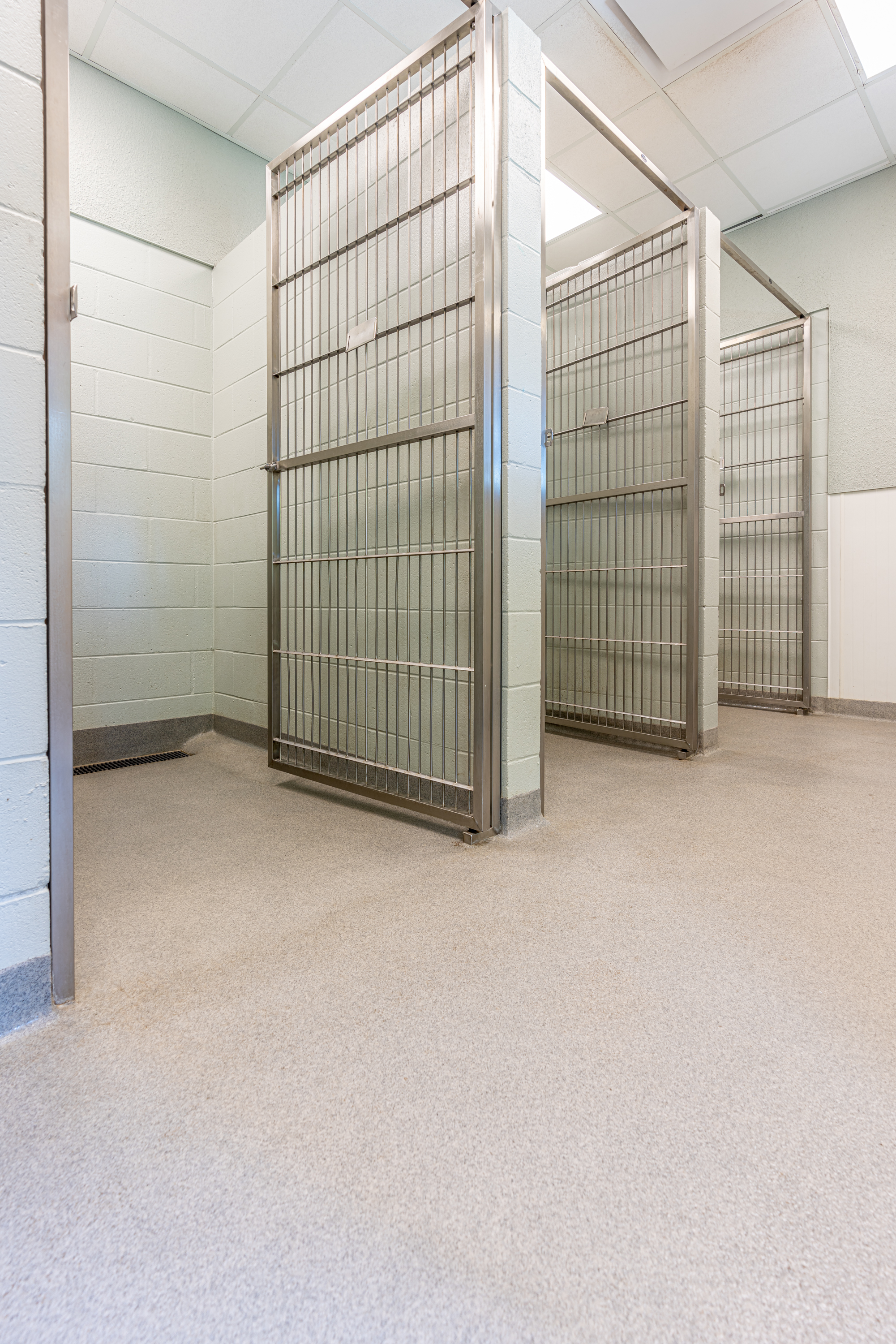 The Lodge at New Tampa Boarding