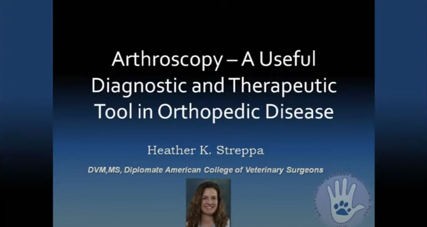 Arthroscopy-A Useful Diagnostic and Therapeutic Tool in Orthopedic Disease Video at NVS