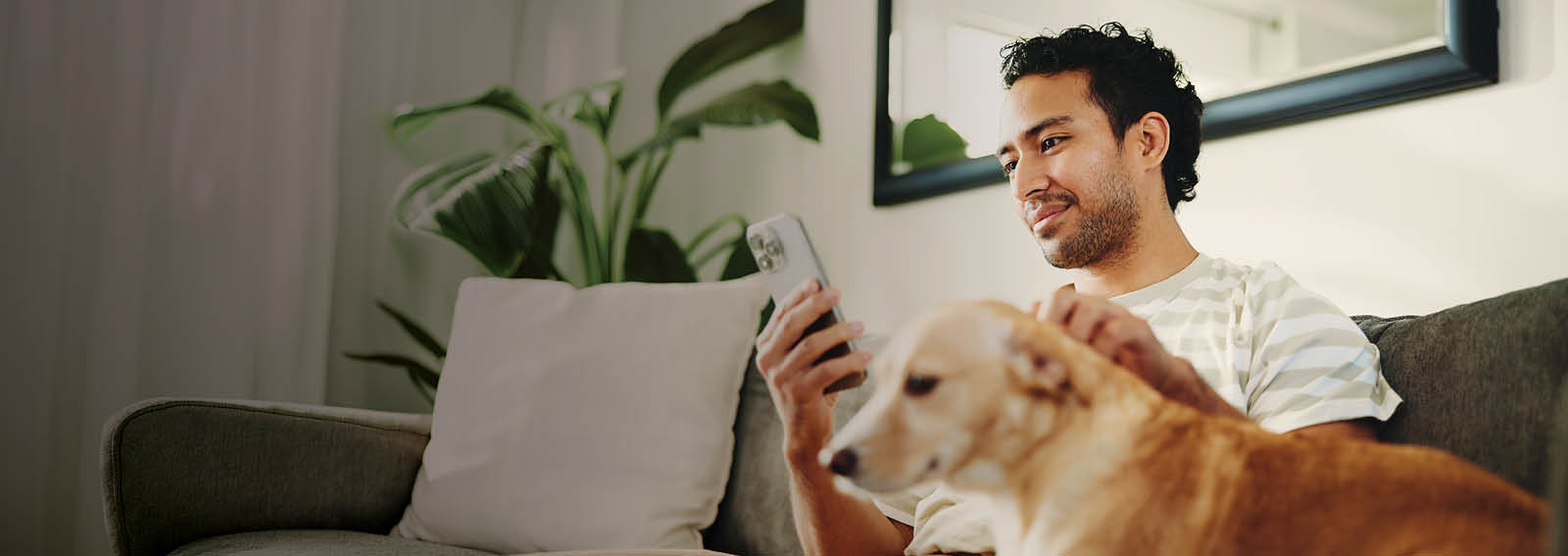 Golden retriever laying down as a person texts.