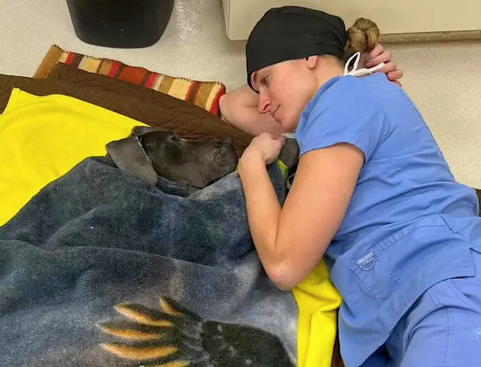 Alta Animal Hospital saved this abandoned Great Dane—then made her family Alta Animal Hospital saved this abandoned Great Dane—then made her family