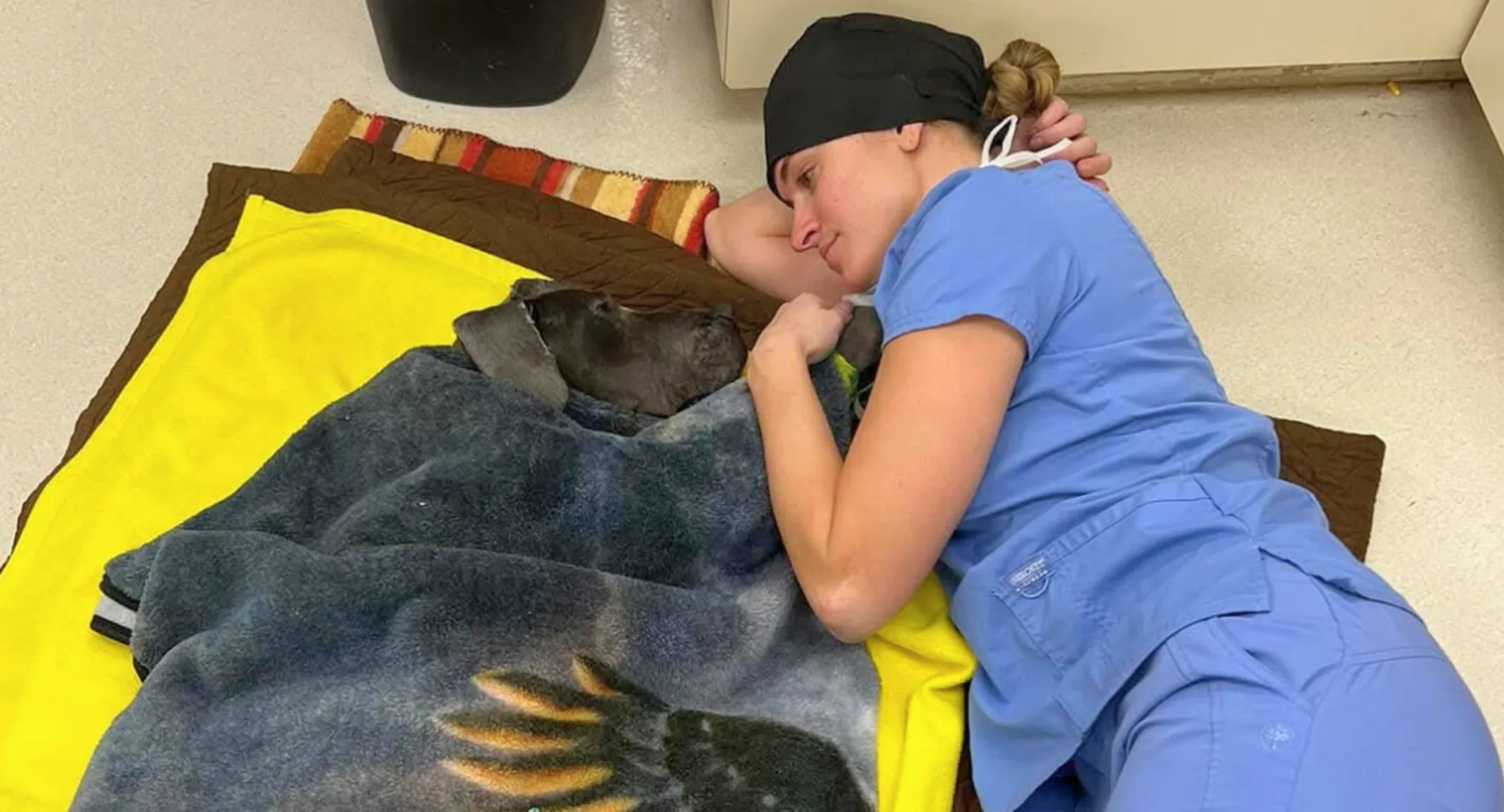 Alta Animal Hospital saved this abandoned Great Dane—then made her family Alta Animal Hospital saved this abandoned Great Dane—then made her family