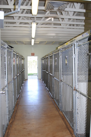 Westside Pet Hospital Boarding