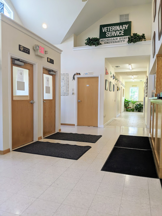 Entrance to Henniker Veterinary Hospital from the inside, showing floor mats, long hallway, tile floors, indoor plants