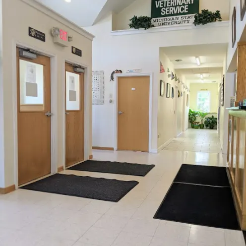Entrance to Henniker Veterinary Hospital from the inside, showing floor mats, long hallway, tile floors, indoor plants
