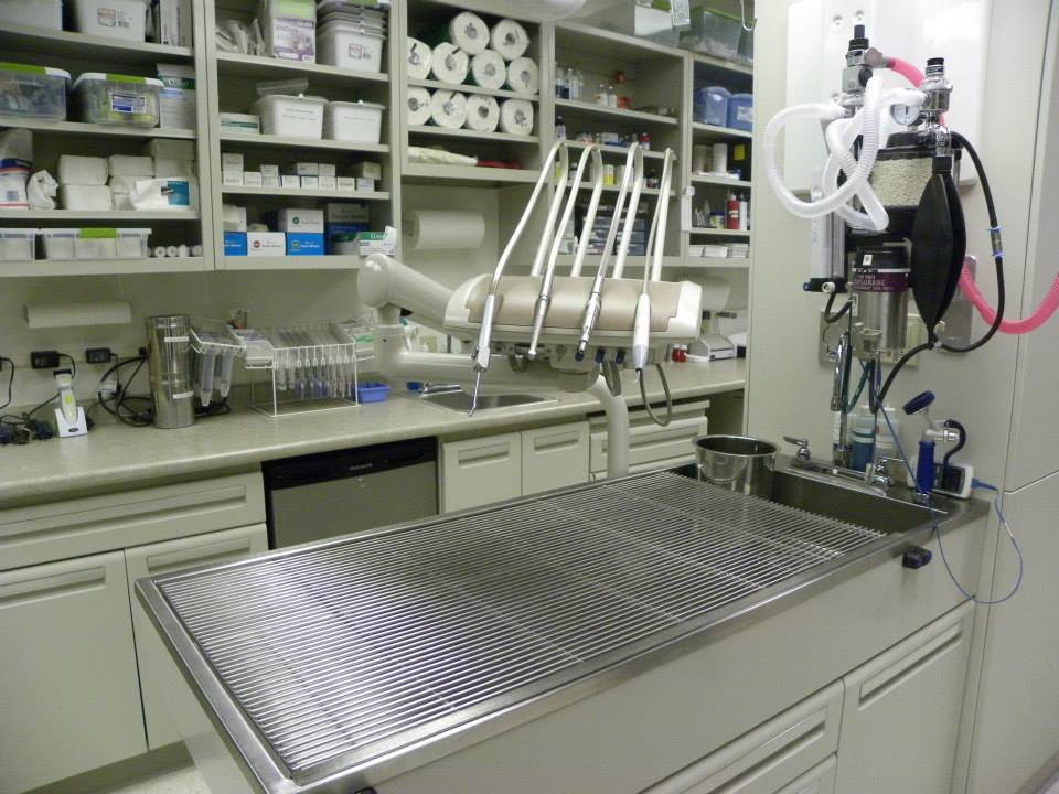 East Lake Animal Clinic's Dental Room that shows a table that has hanging dental equipment and supplies on shelves
