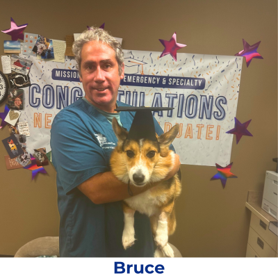 Bruce the dog with Neurology Graduate cap