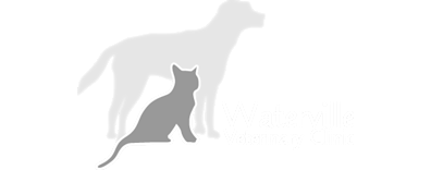 Waterville Veterinary Clinic Logo Waterville Veterinary Clinic Logo