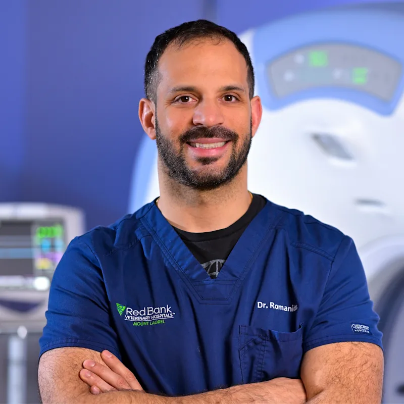 Photo of DVM Steven Romanides Photo of DVM Steven Romanides