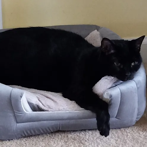 Sasha Bardman Sasha Bardman