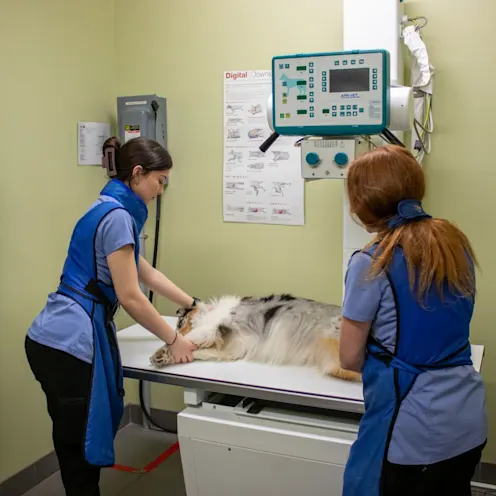 KL & GB X-Ray KL & GB X-Ray