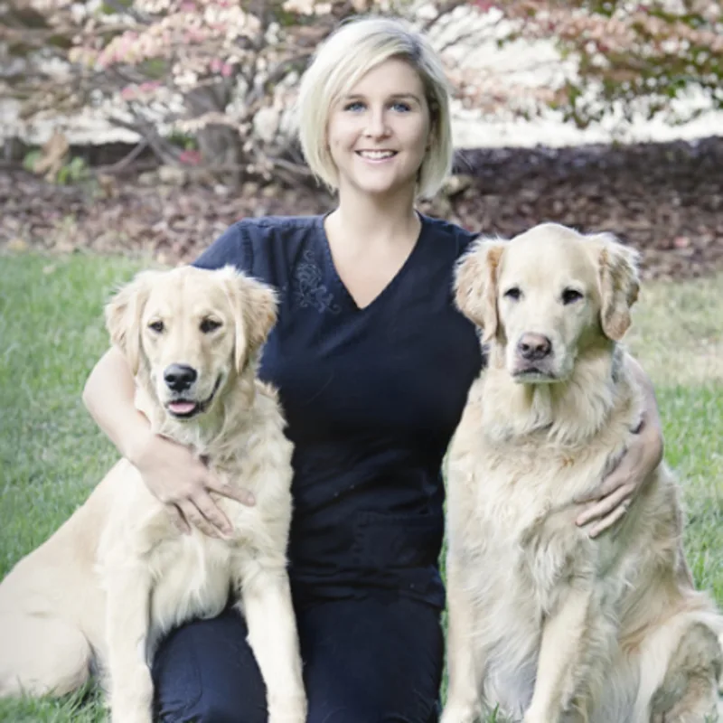 Dr. Laurel Casey kneeling with two Golden Retrievers Dr. Laurel Casey kneeling with two Golden Retrievers