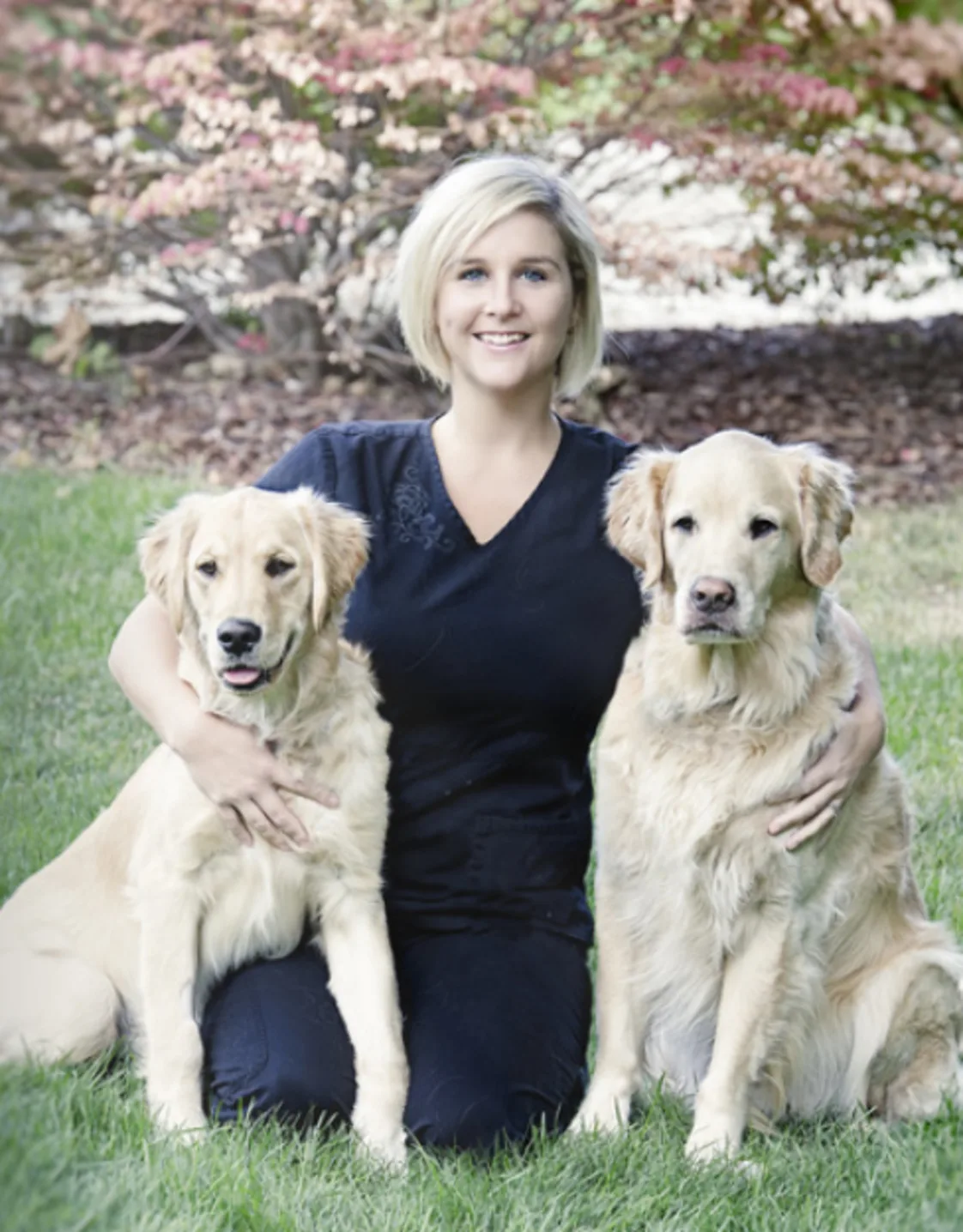 Dr. Laurel Casey kneeling with two Golden Retrievers Dr. Laurel Casey kneeling with two Golden Retrievers