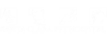 Santa Clara Pet Hospital Logo Santa Clara Pet Hospital Logo
