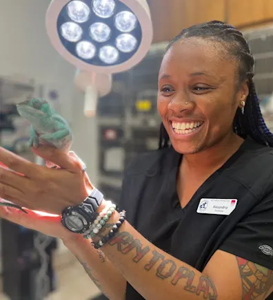 Alexandria Alexandria