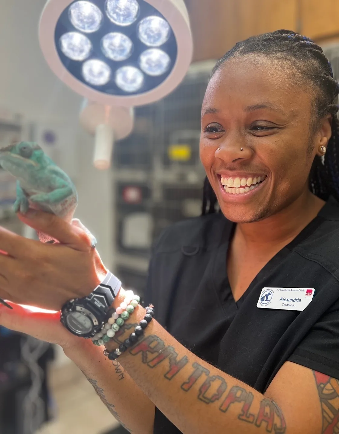 Alexandria Alexandria