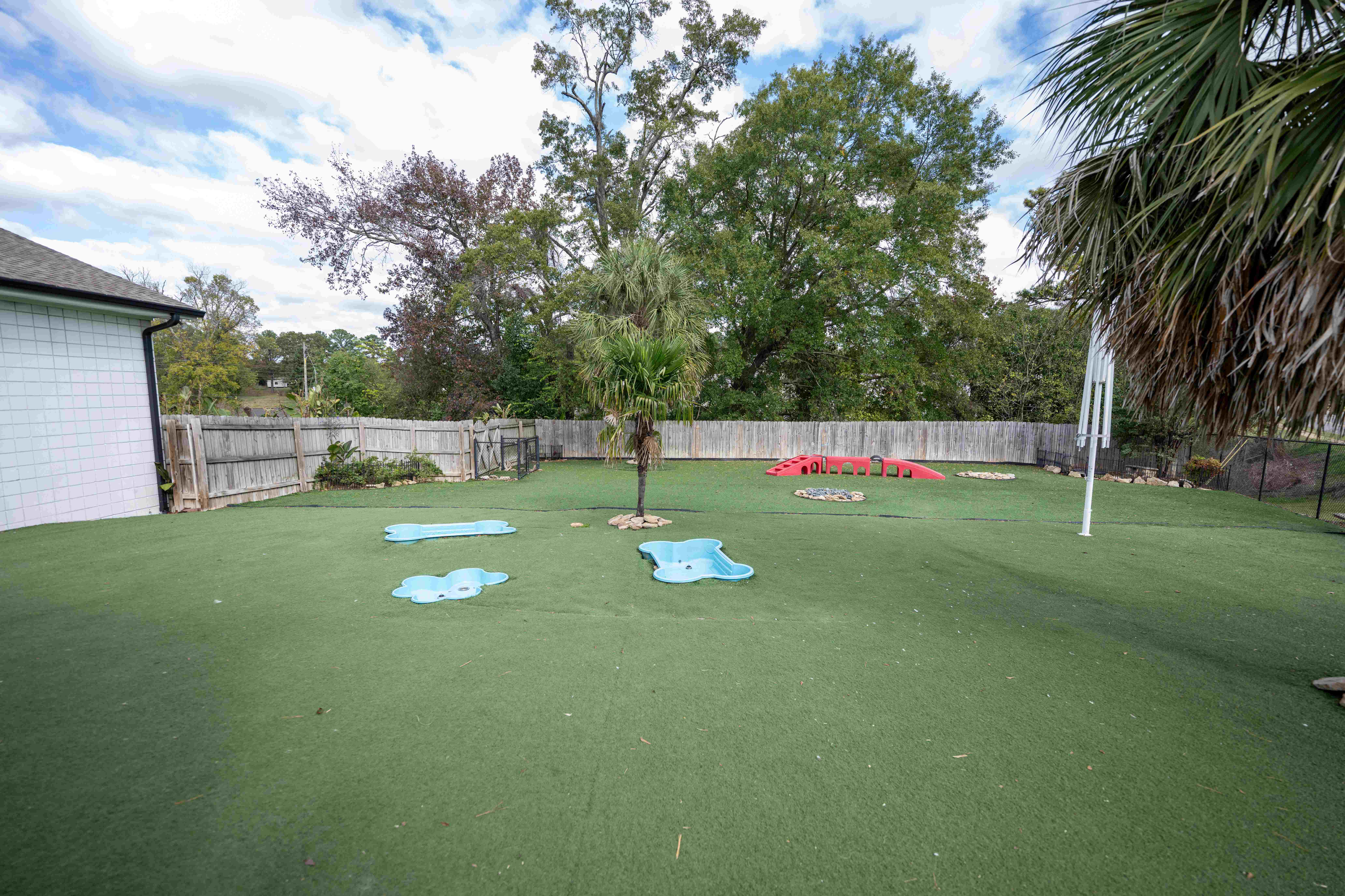 Club Mutt outdoor area with trees 