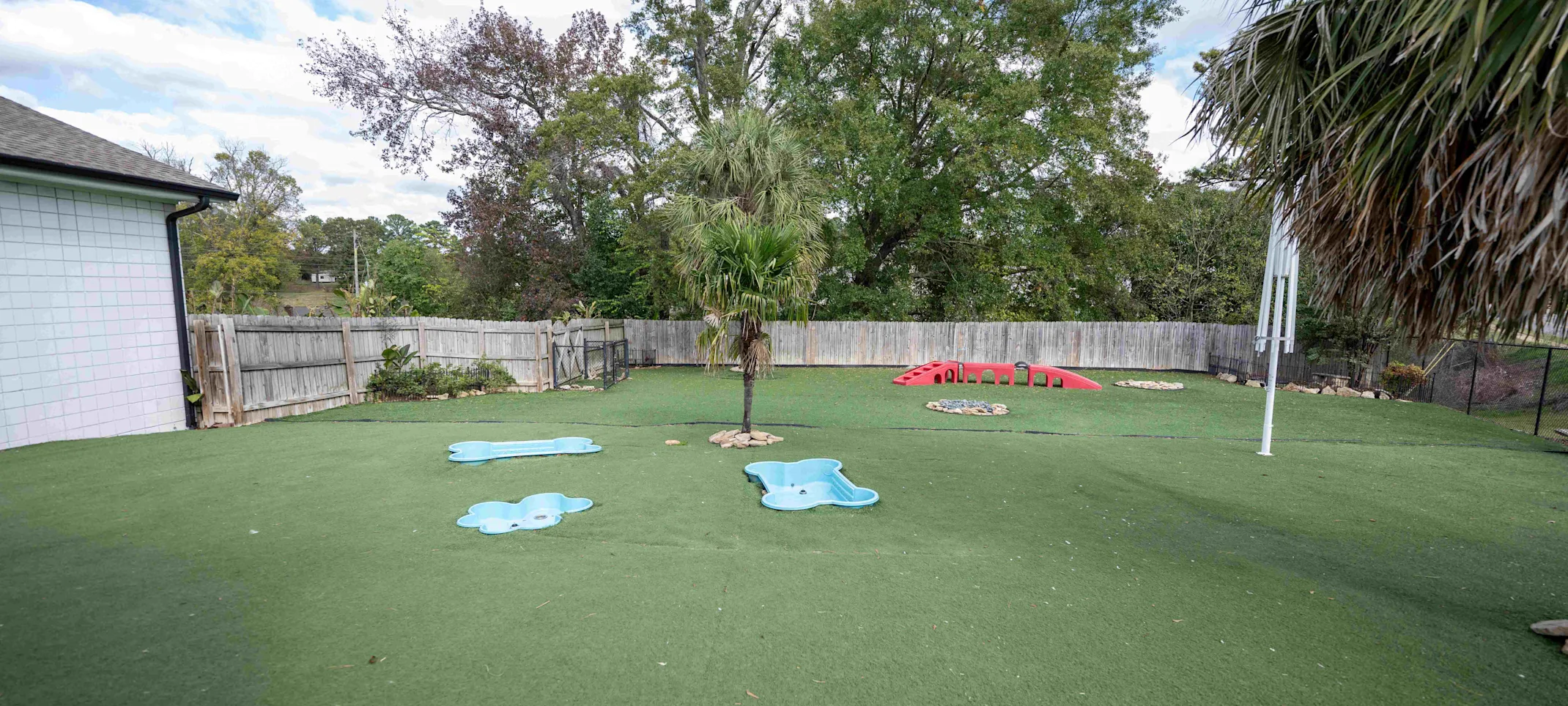 Club Mutt outdoor area with trees Club Mutt outdoor area with trees