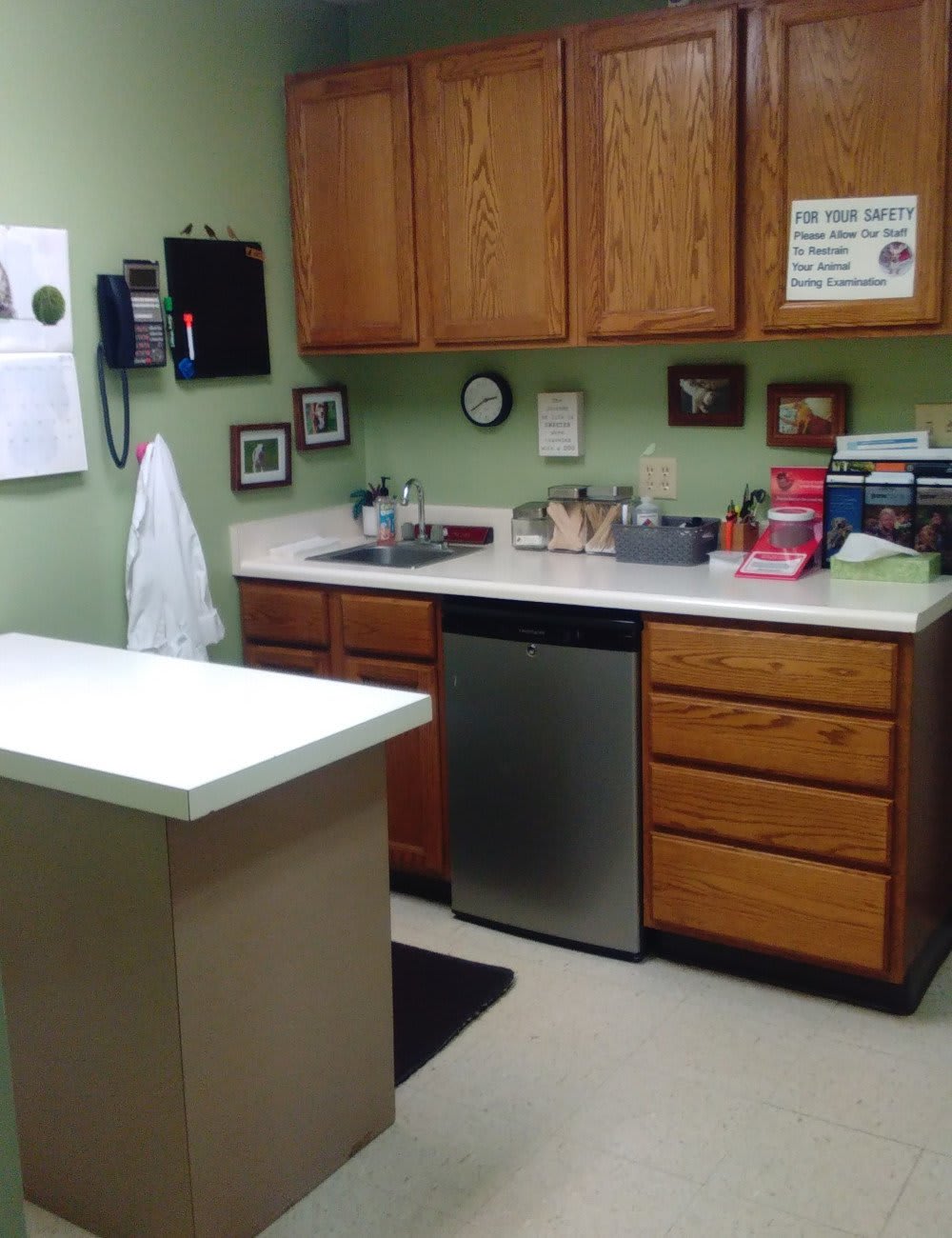 East State Veterinary Clinic Examination Room