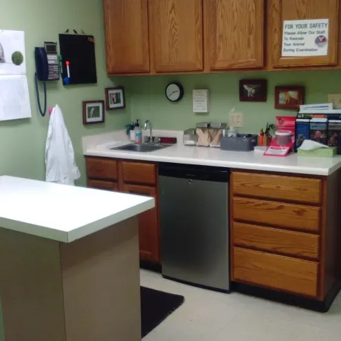East State Veterinary Clinic Examination Room
