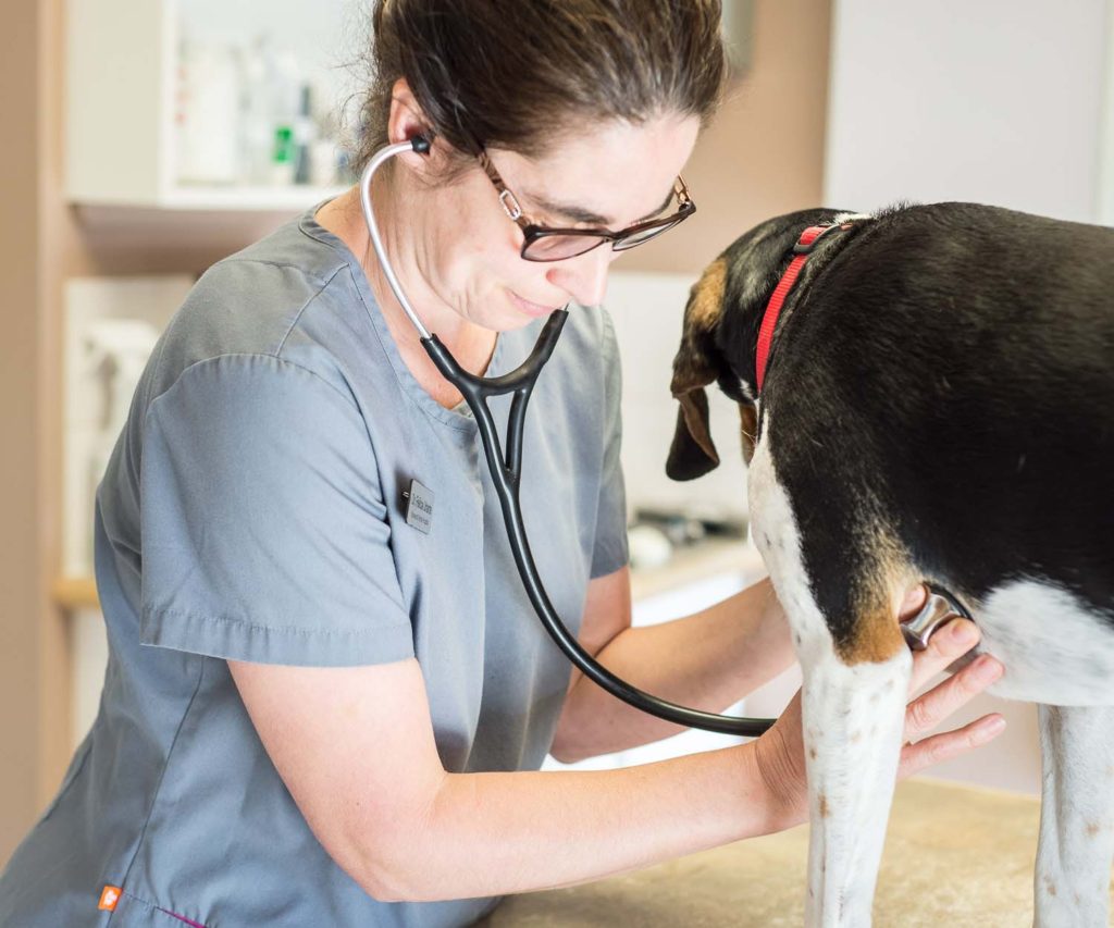 Dr. Felicia Uriarte performing a full physical examination on a patient.