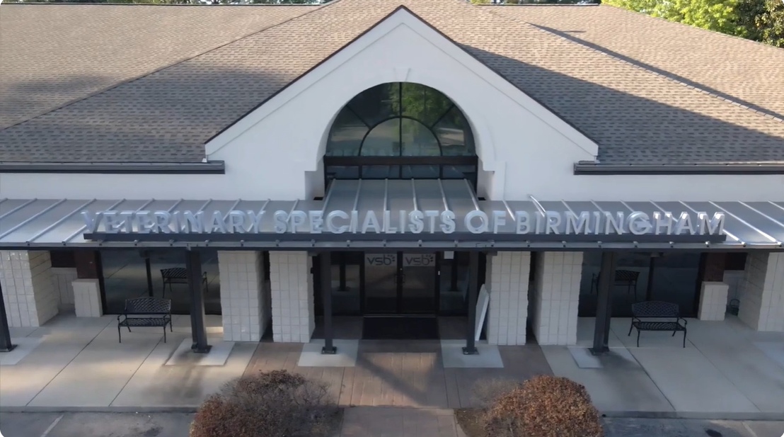 Join the team [Video Screenshot]