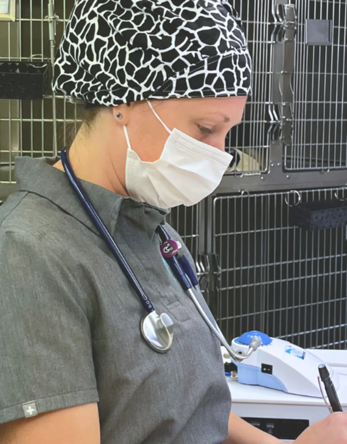 Staff photo of Hollie at Newcastle Veterinary Clinic Staff photo of Hollie at Newcastle Veterinary Clinic