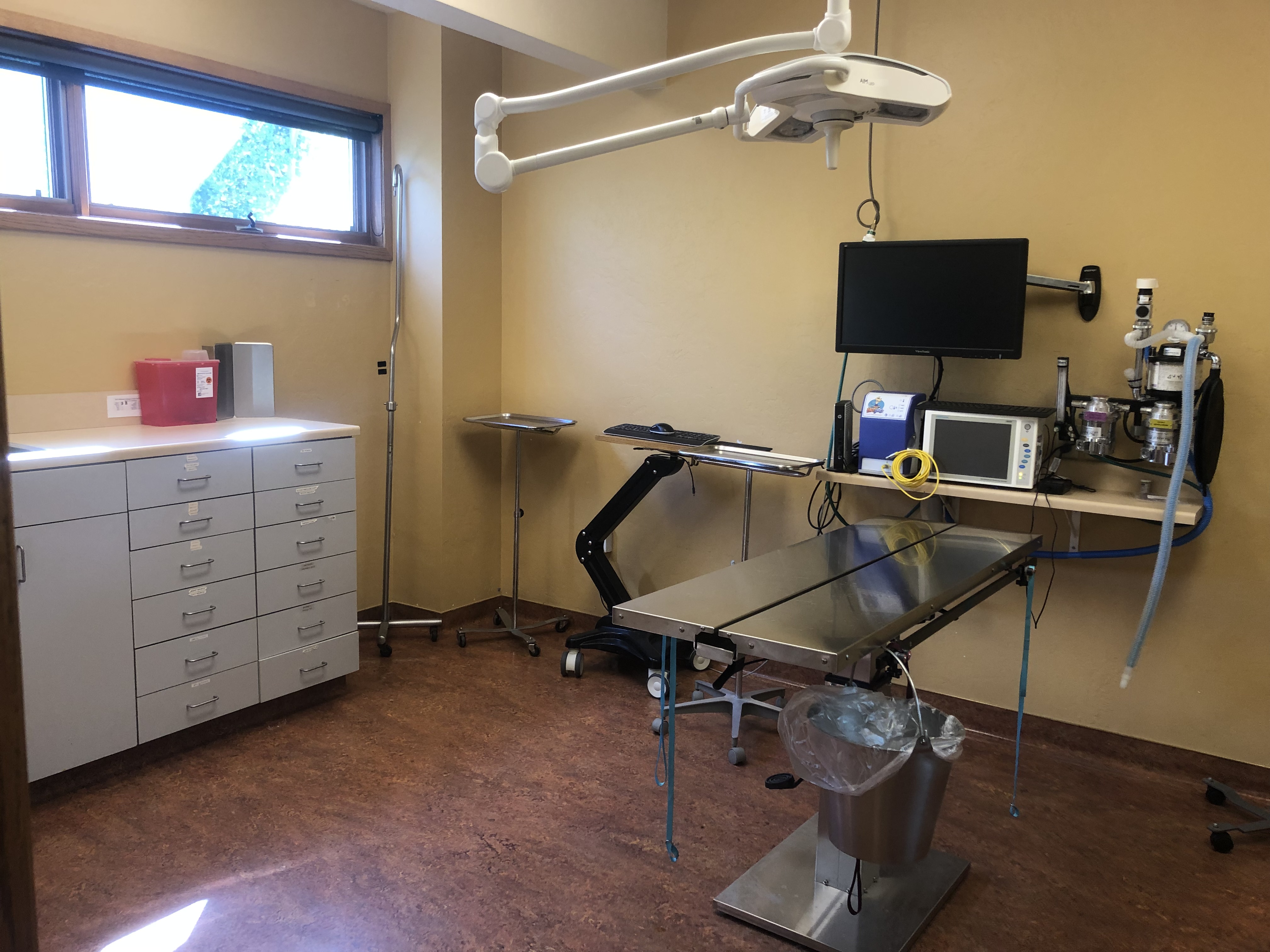 Surgery and exam room at Frisco Animal Hospital with operating table and equipment
