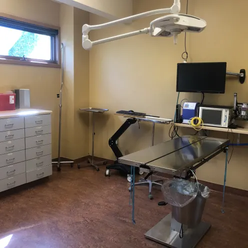 Surgery and exam room at Frisco Animal Hospital with operating table and equipment