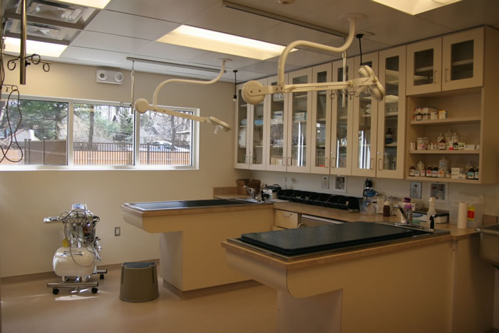 Montville Veterinary Group Treatment Area