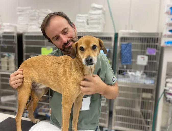 Staff member with a tan dog on an exam table Staff member with a tan dog on an exam table