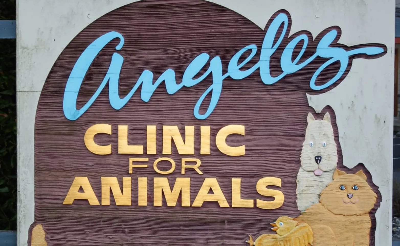 Angeles Clinic for Animals Sign Angeles Clinic for Animals Sign