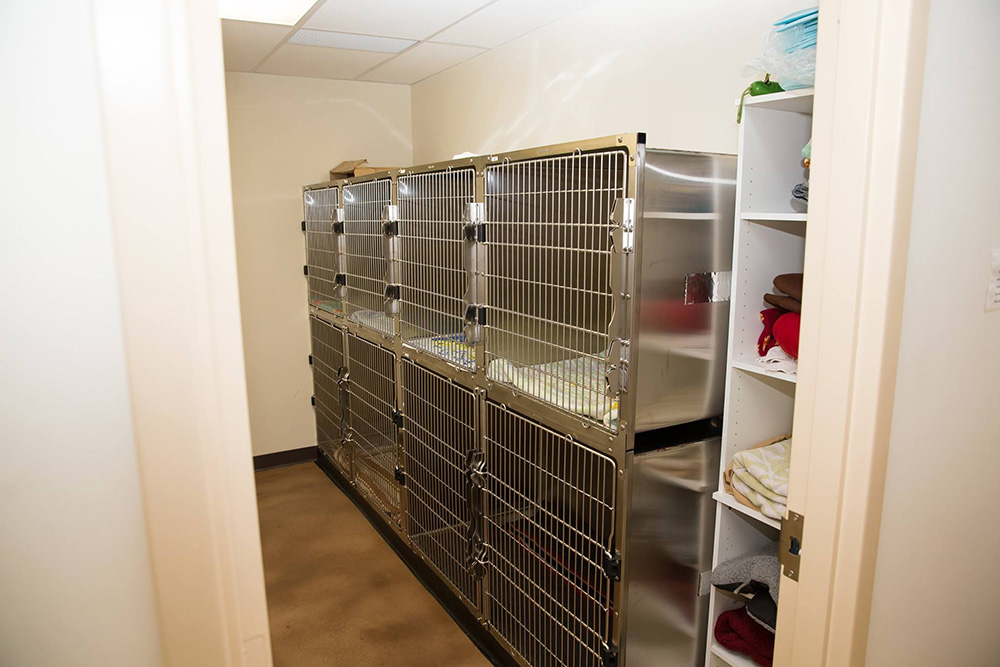 Burnside Veterinary Hospital Dog Ward