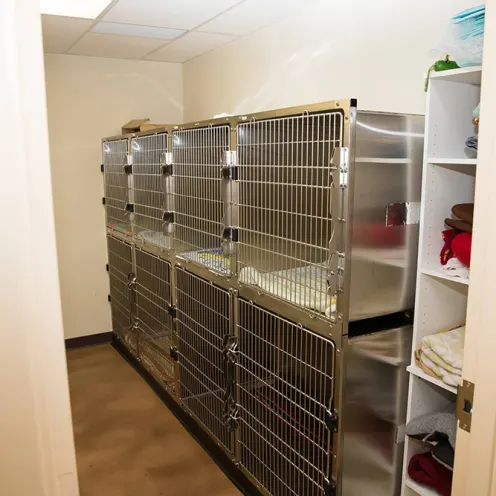 Burnside Veterinary Hospital Dog Ward