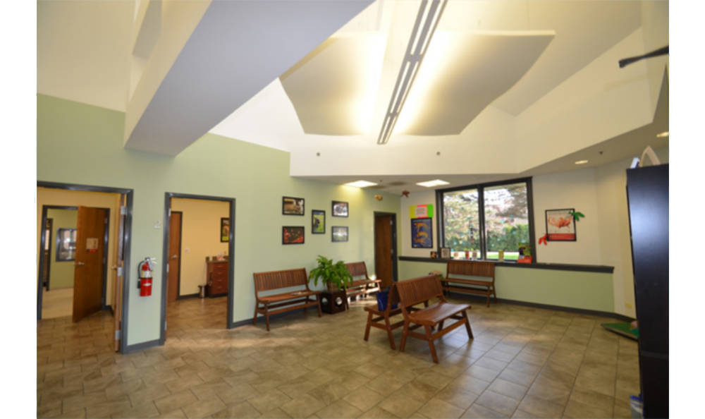 Animal Medical Clinic of Wheaton