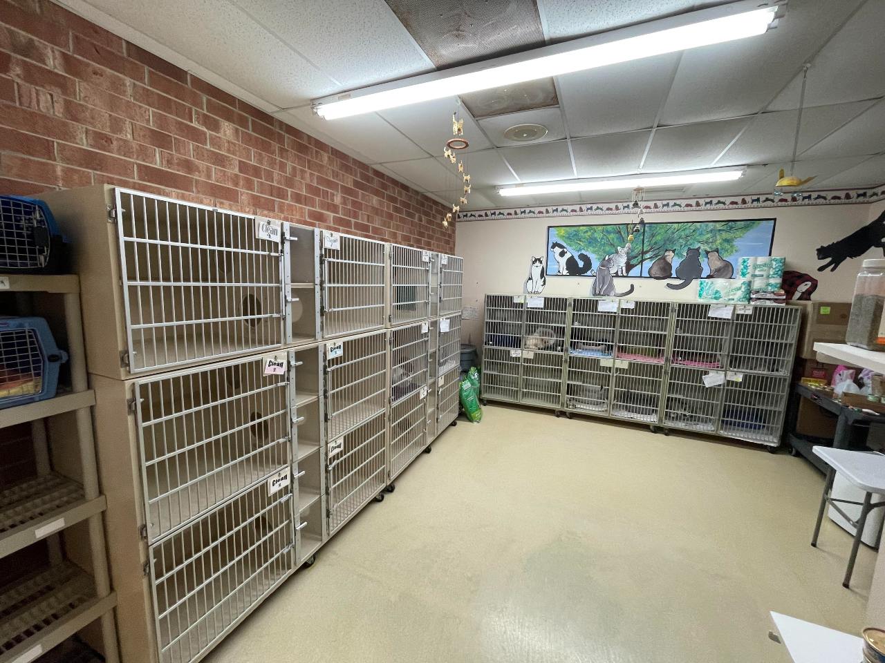 Boarding Facility at Cat Clinic of Greensboro