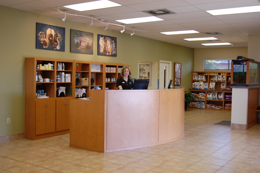 All Creatures - Florida Reception