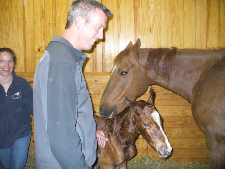 Dr. Browning evaluating mare and newborn filly