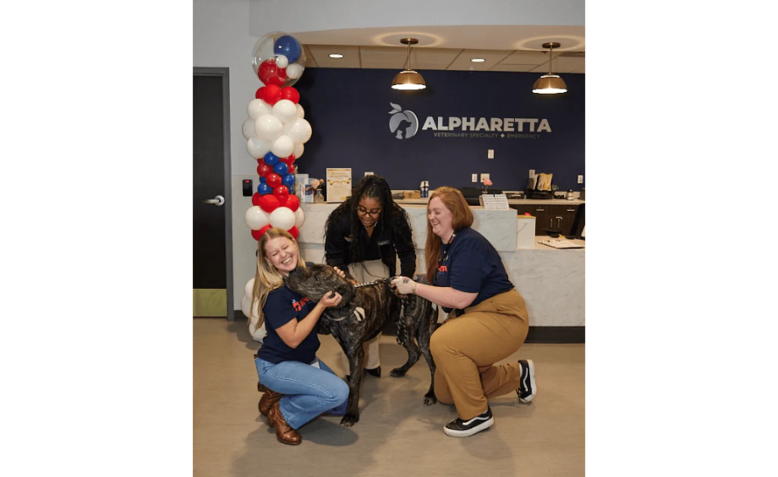 Three staff members hugging a dog Three staff members hugging a dog