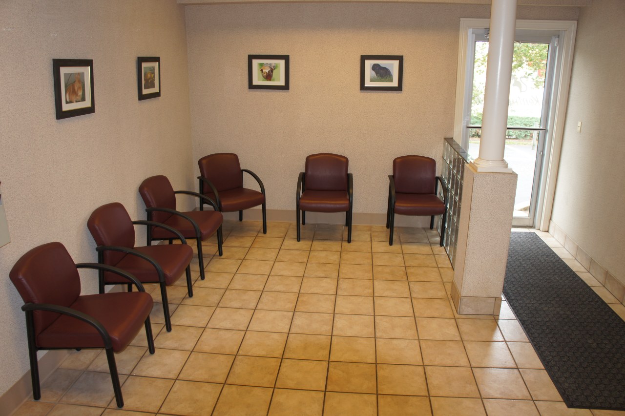 Feline/Exotic Waiting Area