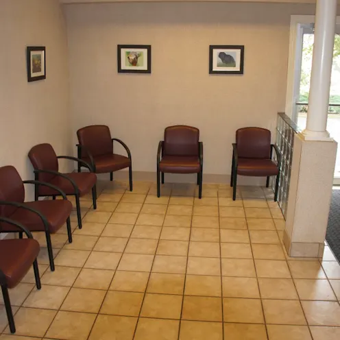 Feline/Exotic Waiting Area Feline/Exotic Waiting Area