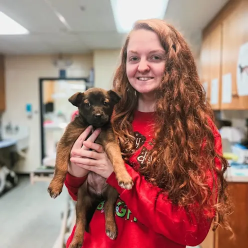 Staff member holding a puppy Staff member holding a puppy