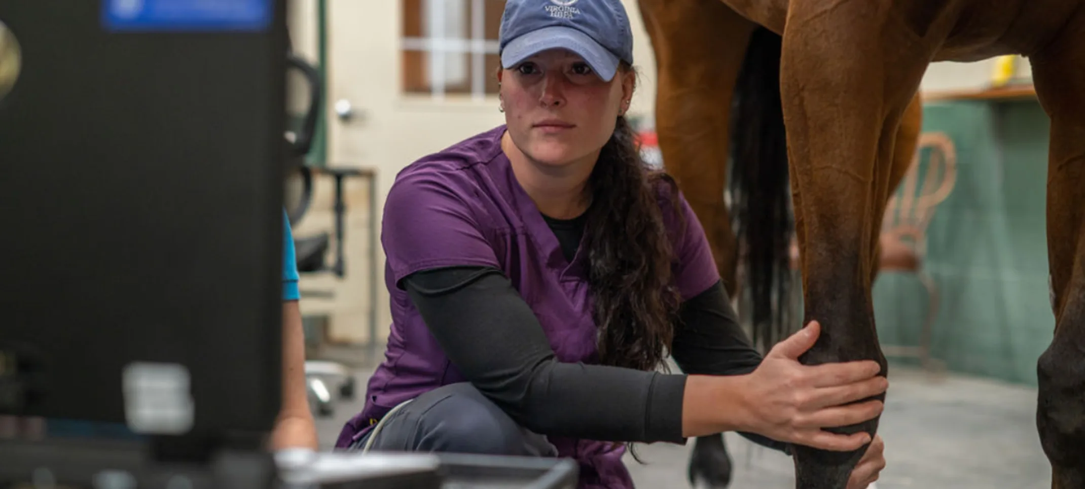 Staff member looking at an image of a horse's leg Staff member looking at an image of a horse's leg