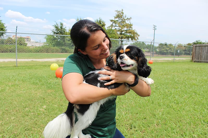 Staff holding dog at Rover Oaks Pet Resort