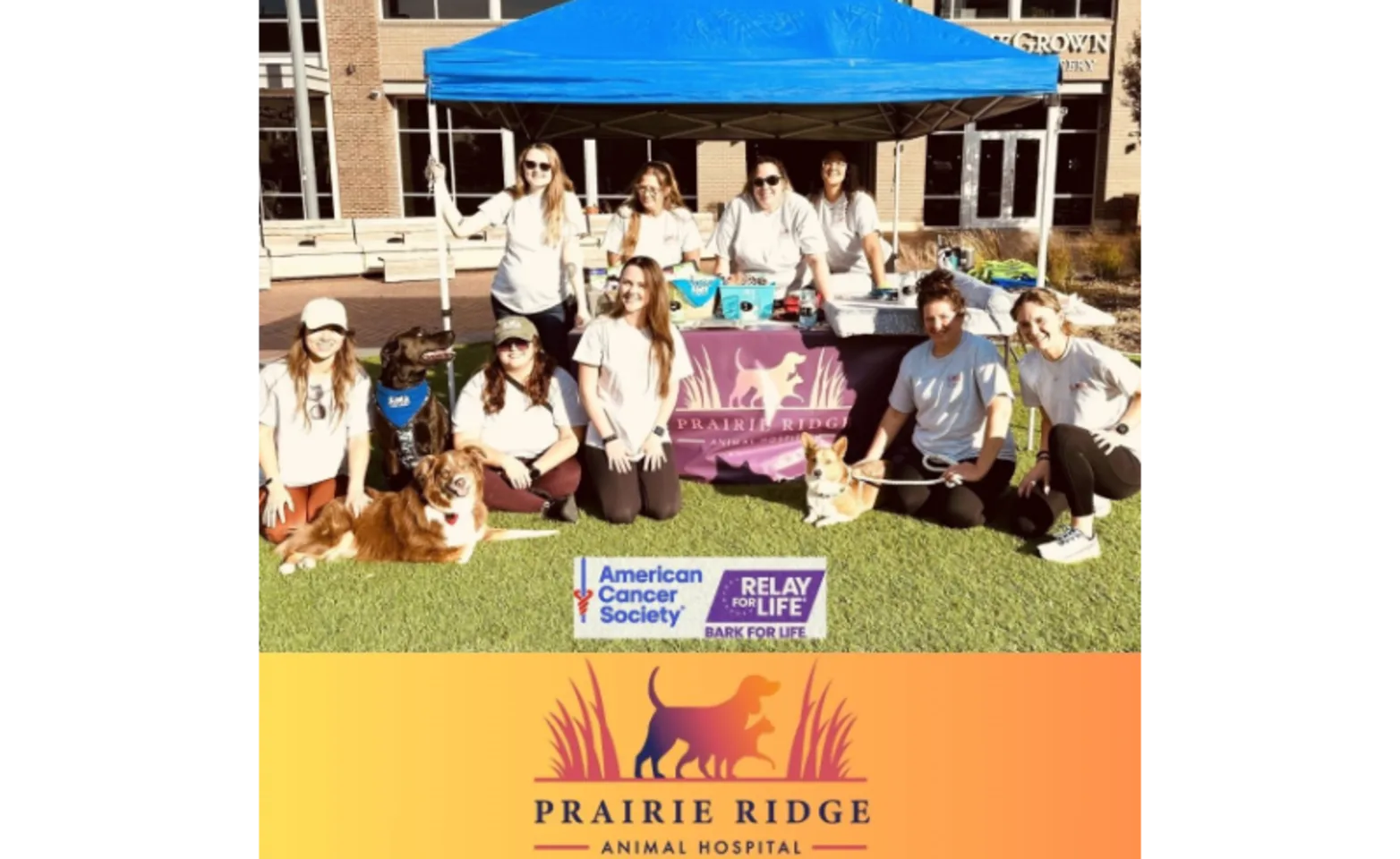 Bark for Life Bark for Life