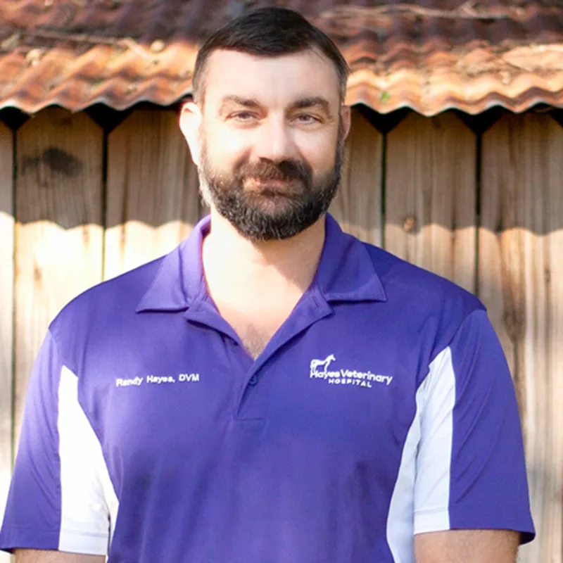 Dr. Randy Hayes Dr. Randy Hayes