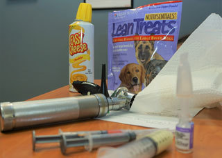 Items For Exam including equipment, Easy Cheese, and Lean Treats.