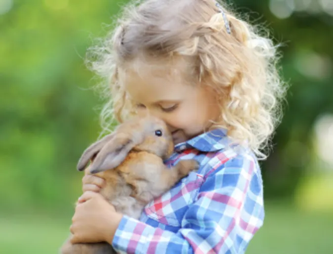 Girl cuddling with a rabbit Girl cuddling with a rabbit