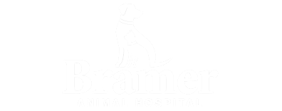 Bramer Animal Hospital Logo Bramer Animal Hospital Logo
