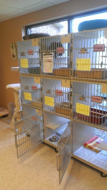 Seven Bends Veterinary Hospital Kennels