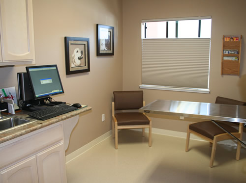 Exam room at Brentwood Veterinary Hospital 